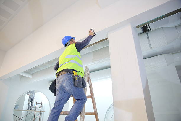 Best Mold Removal for HVAC Installations  in Lawrence, IN